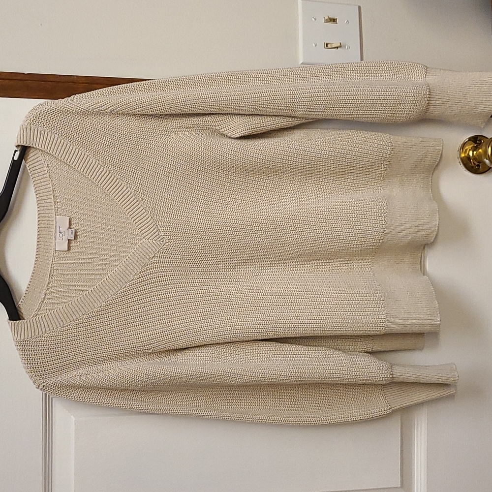 Loft V-neck Sweater
